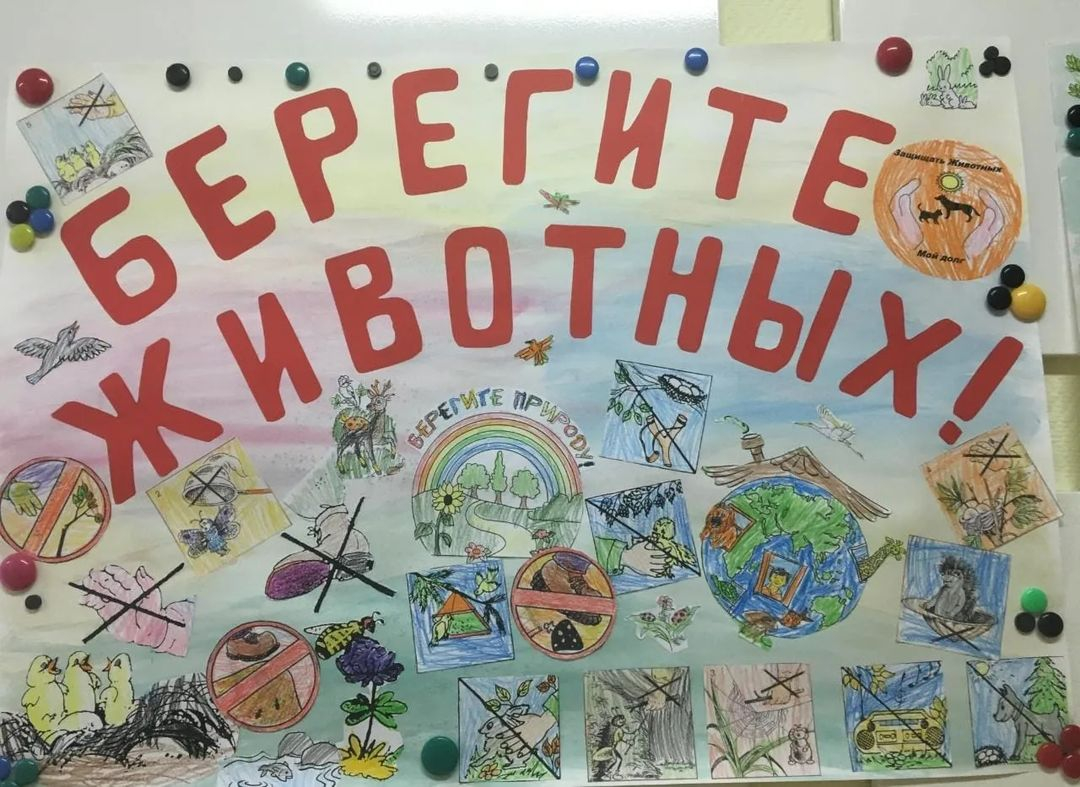 Призыв «Берегите животных» не пустой звук