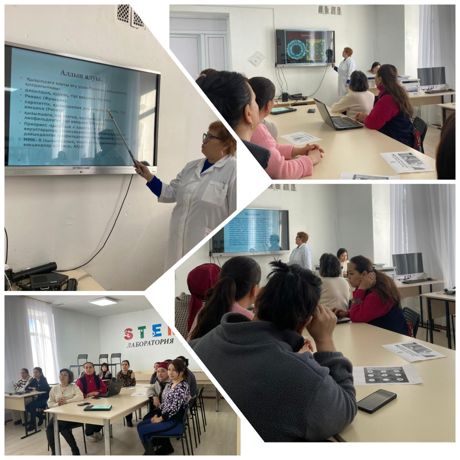 Қызылша ауруына қарсы түсініктеме