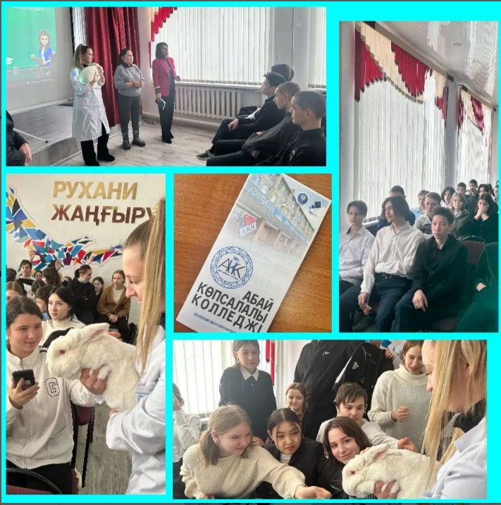 Абайский многопрофильный колледж