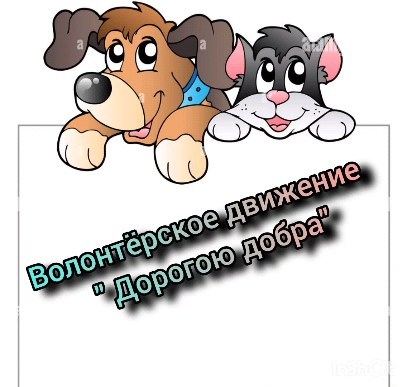 В рамках акции Дорогою добра» был организован сбор корма для приюта бездомных животных.