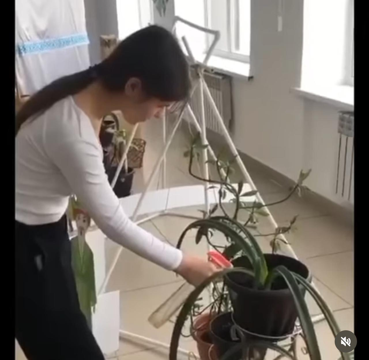 В рамках акции «Табиғатқа қамқорлық жасаймыз» учащиеся 8 Б и 8 В класса школы имени Касыма Аманжолова приняли участие по поддержке чистоты в классе, в школе.