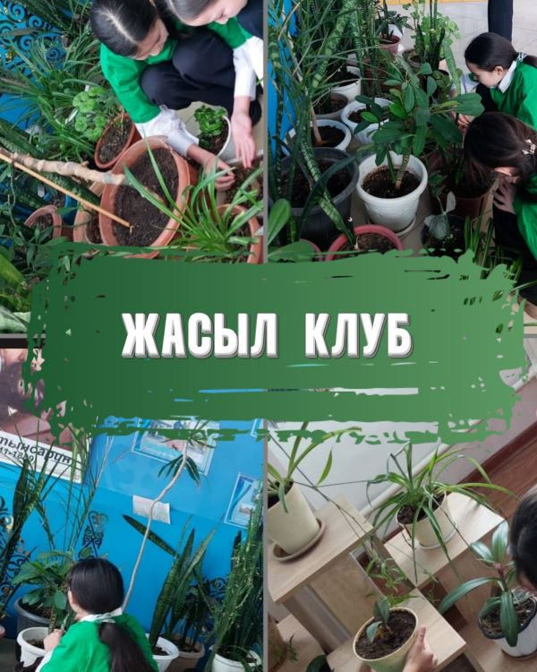 Жасыл клуб