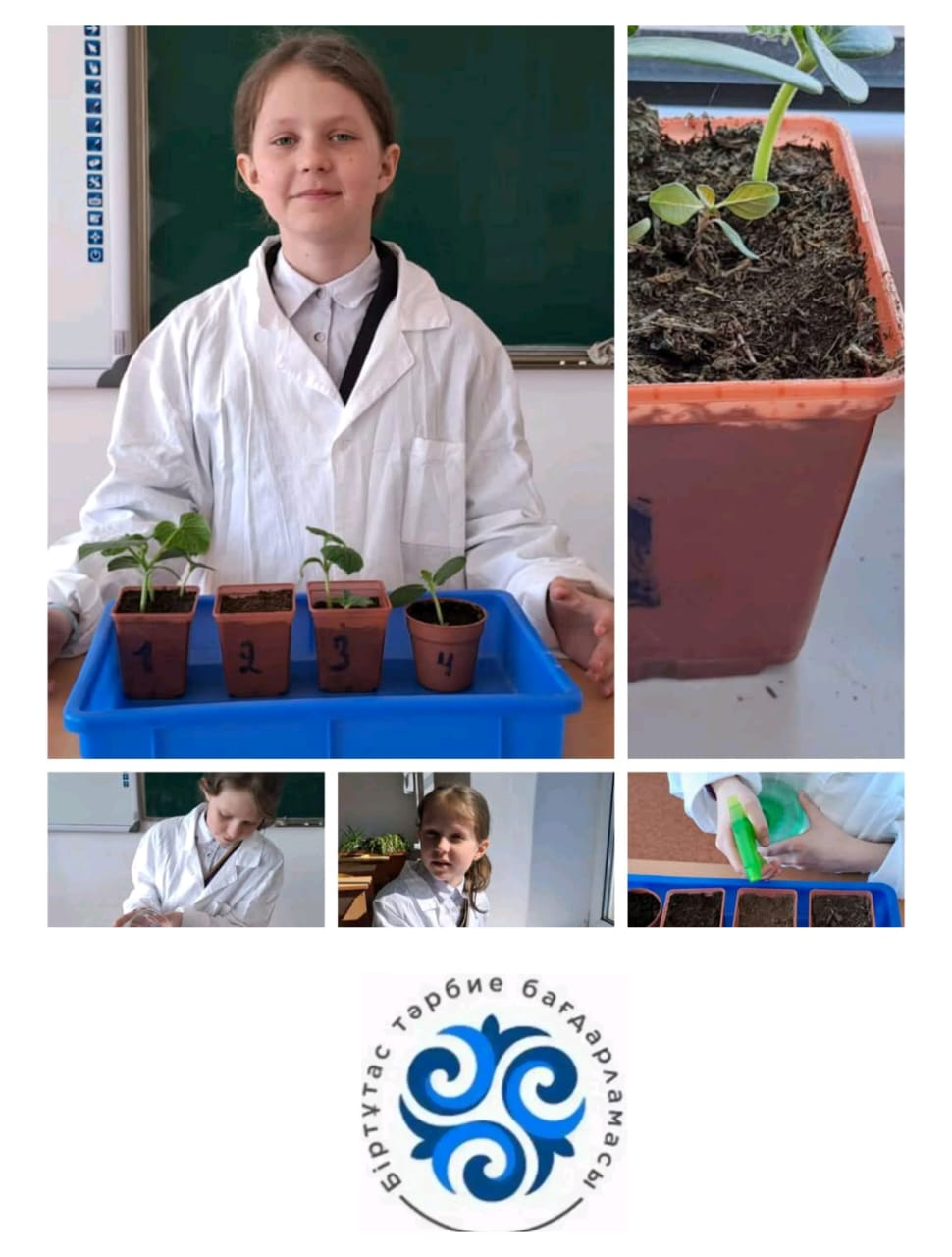 Мектебімізде 