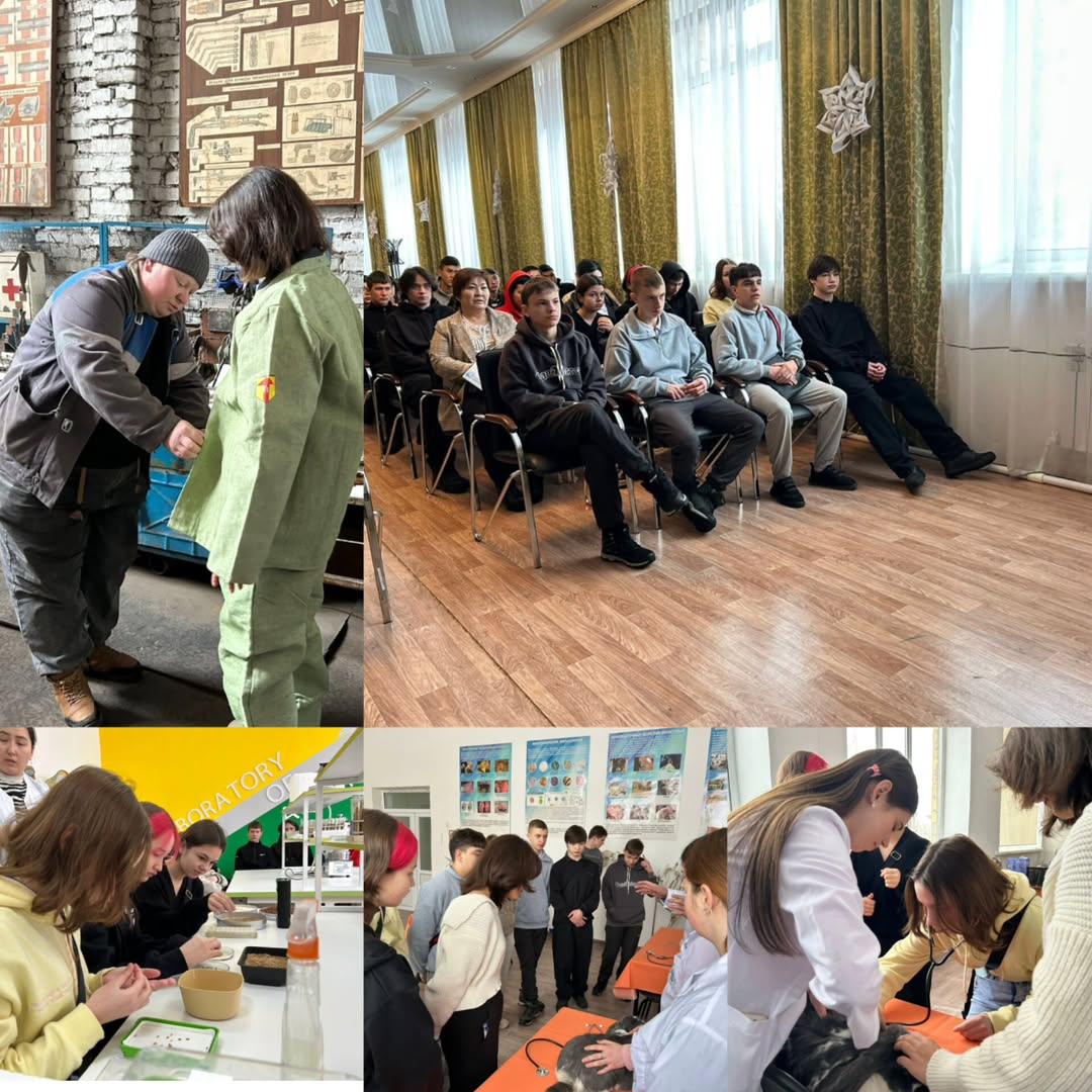 В рамках плане недели математической грамотности, для обучающихся 9 классов КГУ 