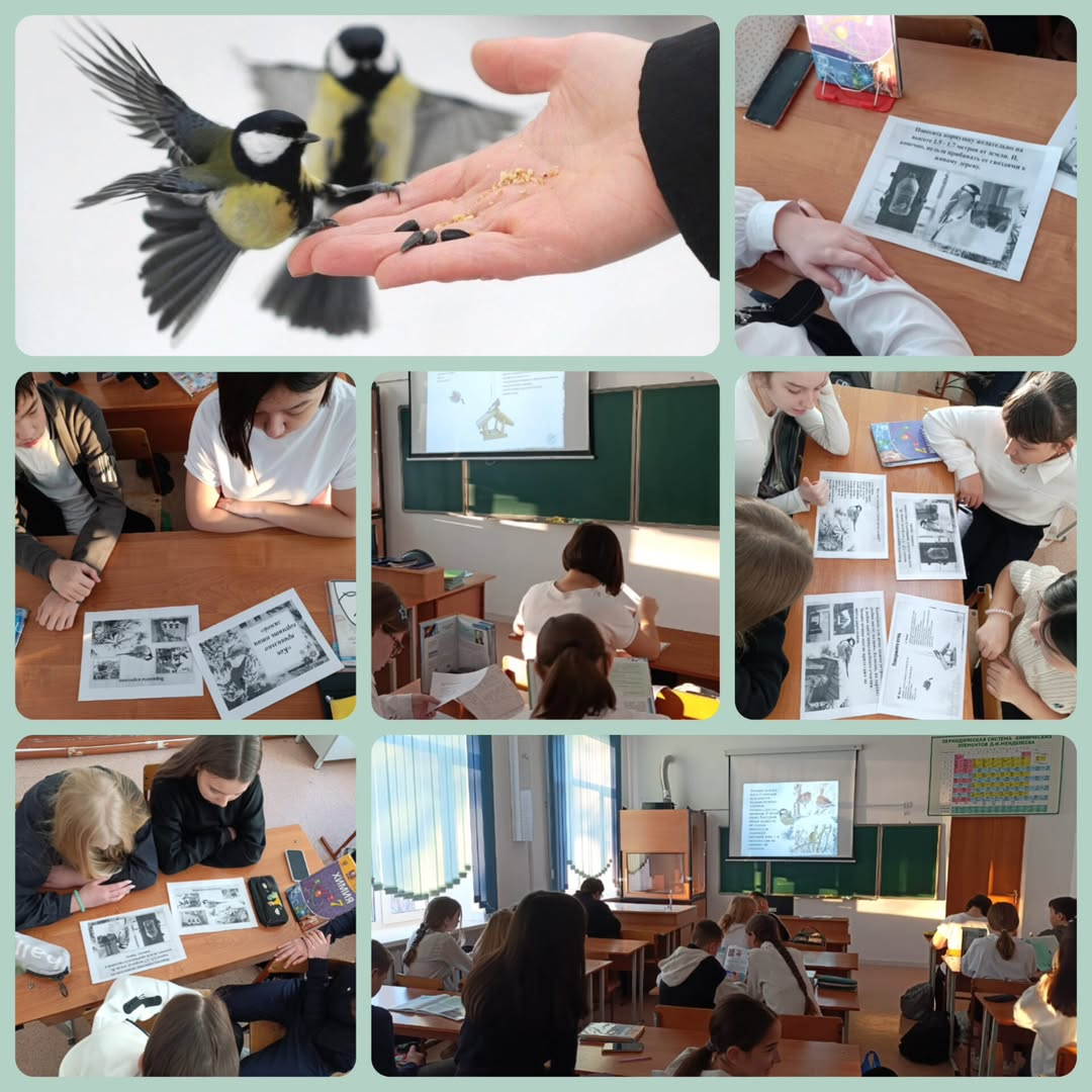 В 7 классах КГУ 