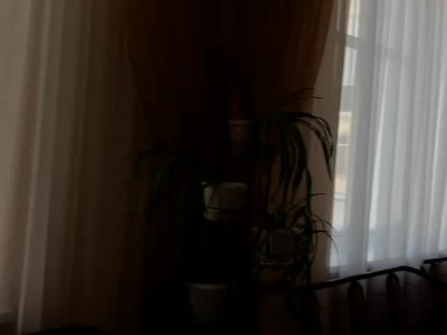 Учитель — призвание или профессия? Интервью с педагогами.