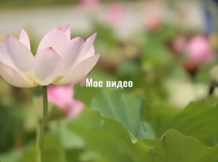 ???? «Келешек мектептері» жобасы аясында салынған Шымкент қаласы Қаратау ауданындағы №145 мектеп 2000 оқушы орнына арналған