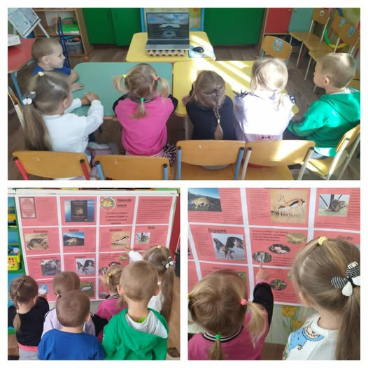 Неделя историко-функциональной грамотности