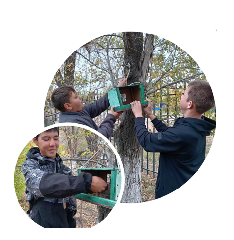 Проект КАМКОР