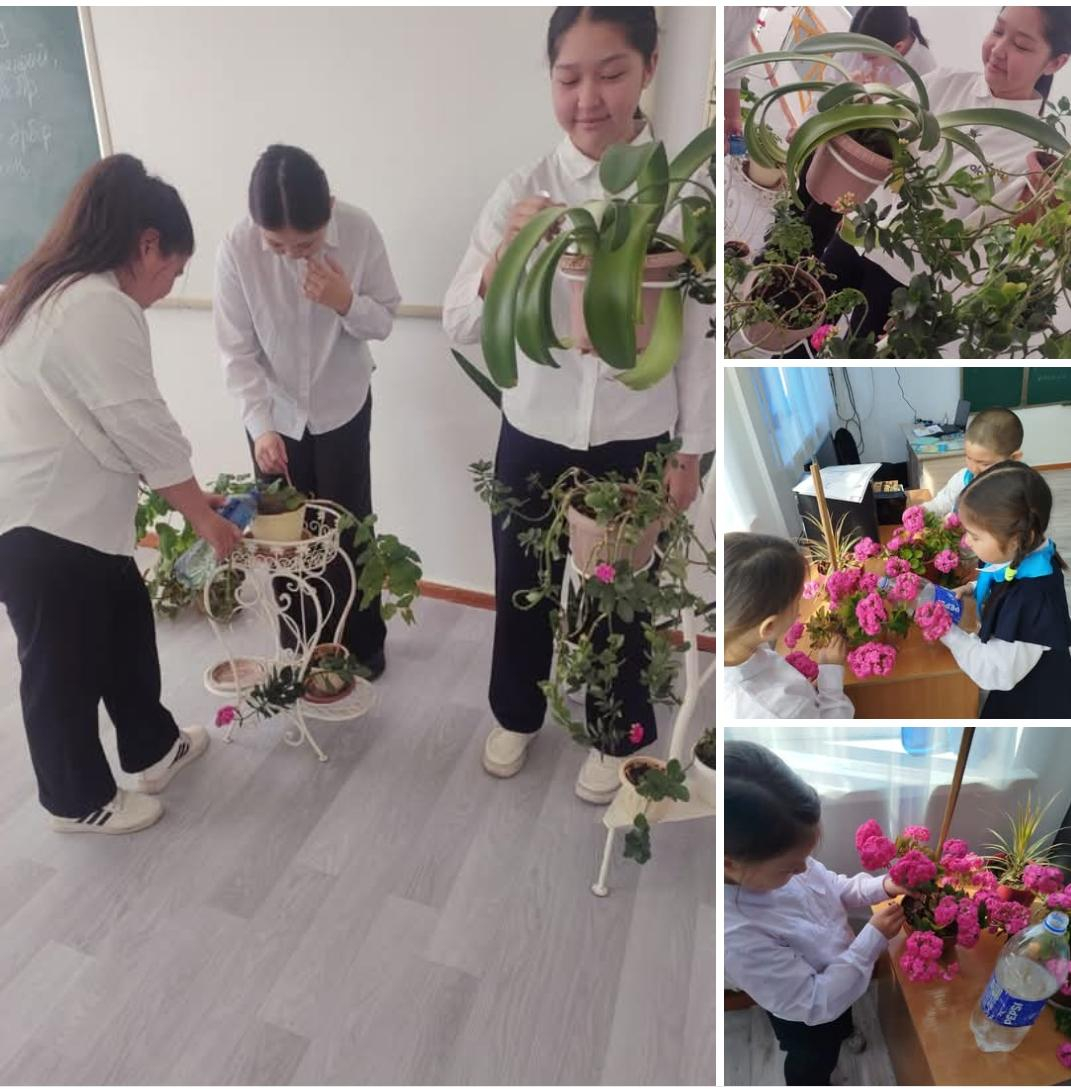 Өсімідіктерді дұрыс баптаймыз!